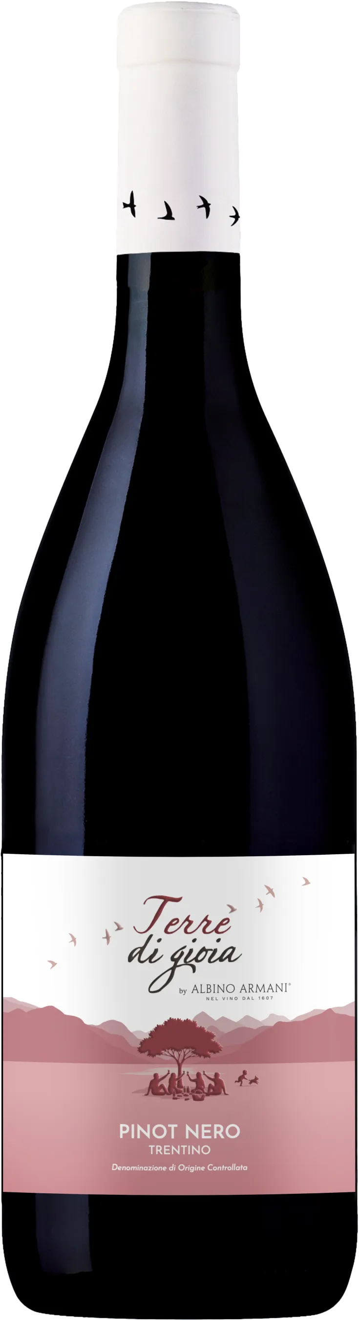 Pinot Nero Trentino DOC