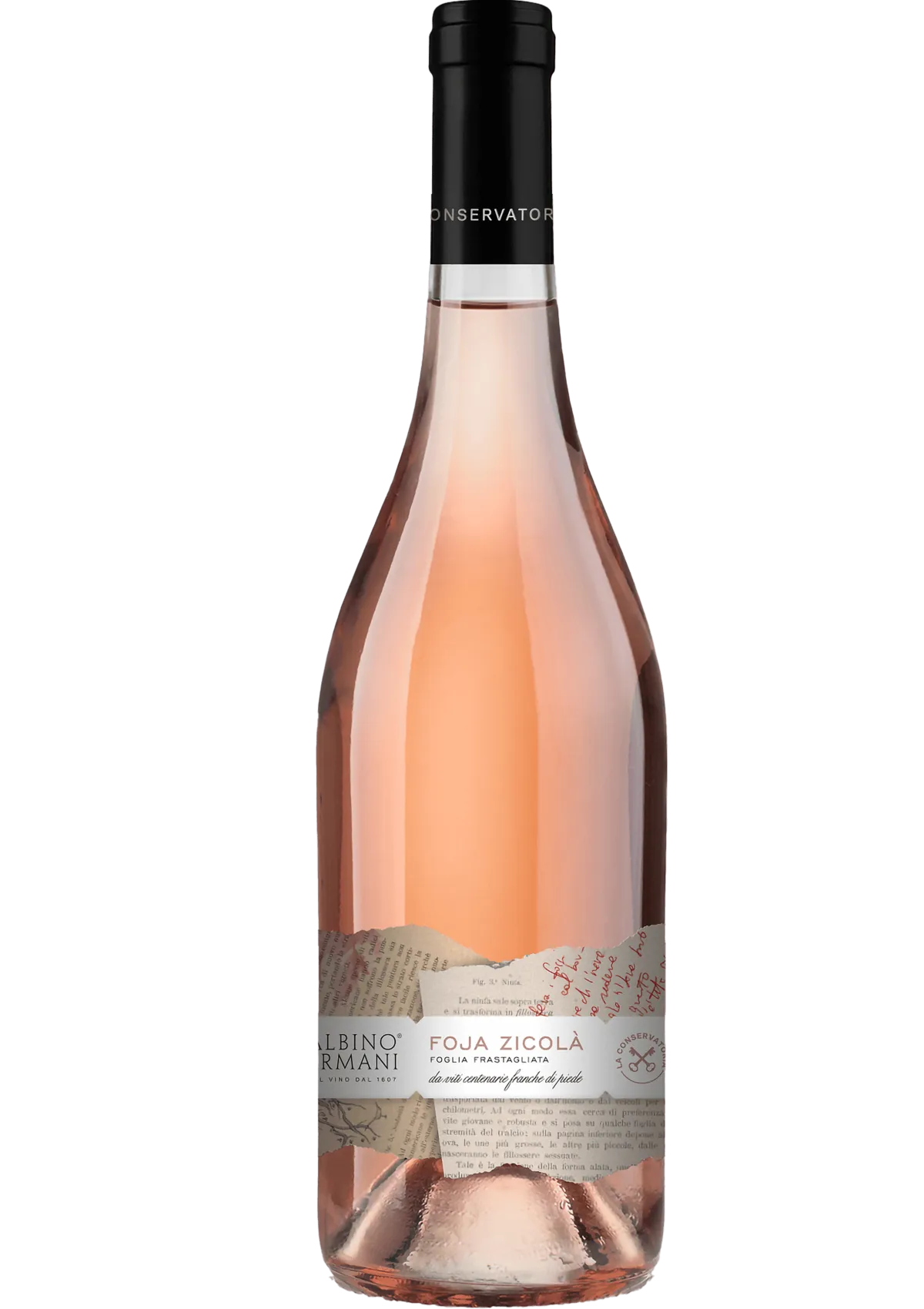 Foja Zicolà Lambrusco a foglia frastagliata Rosato Vigneti delle Dolomiti IGT